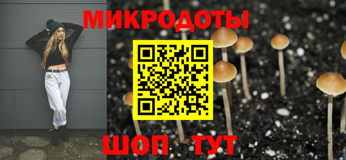 Псилоцибиновые грибы Psilocybe  Вход с VPN  Клин  Псилоцибиновые грибы Magic Shrooms 